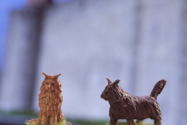 Freyja's Wildcats, bad squiddo